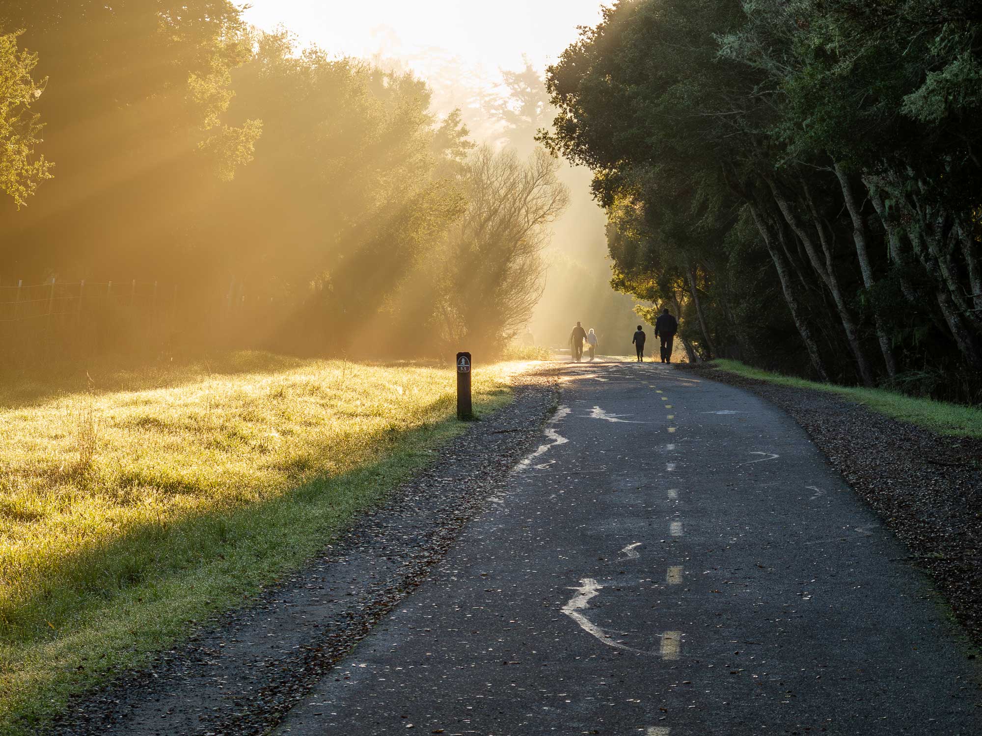 people path fog